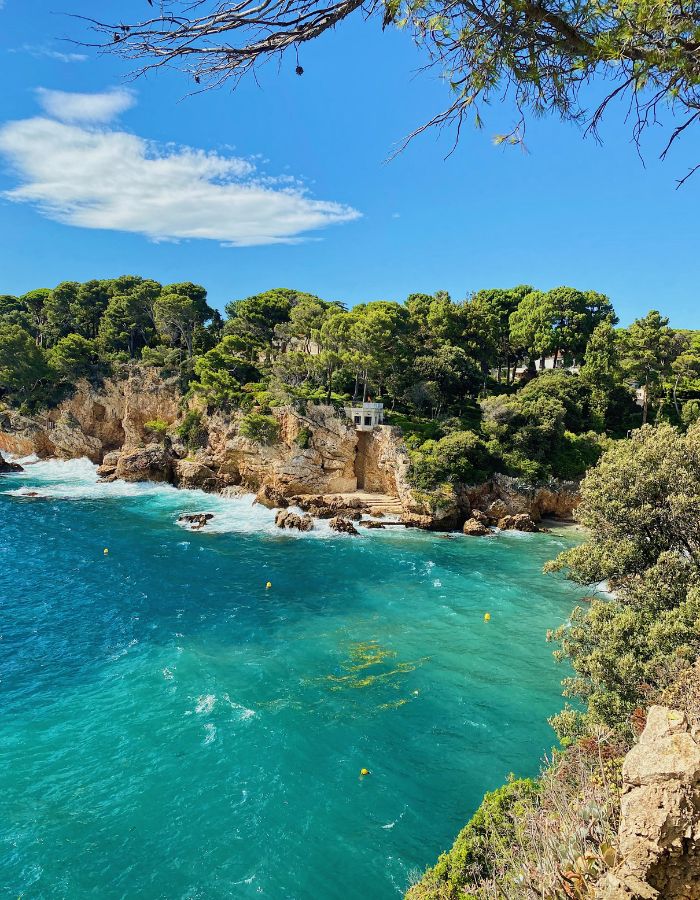 vue du cap d'antibes